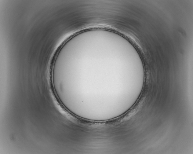 X0000111191038200907011005