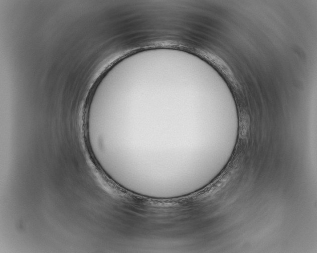 X0000111191039200907011005