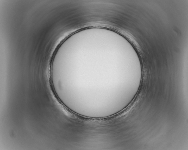 X0000111191040200907011005