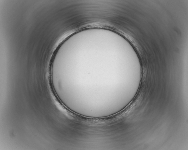 X0000111191042200907011005