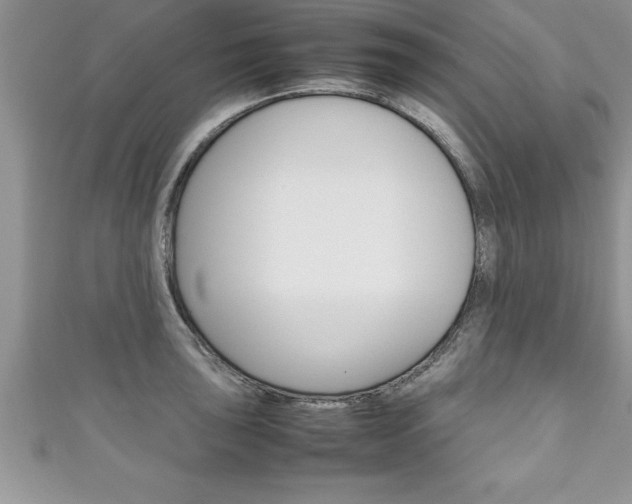 X0000111191043200907011005