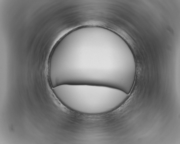 X0000111191044200907011005