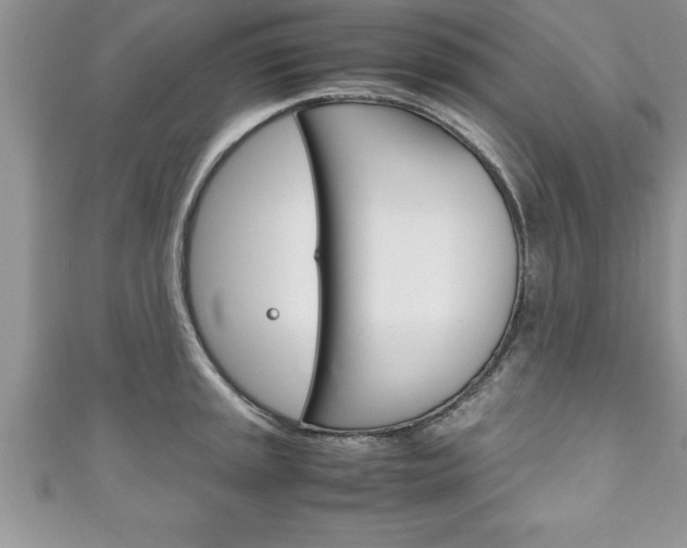 X0000111191045200907011005