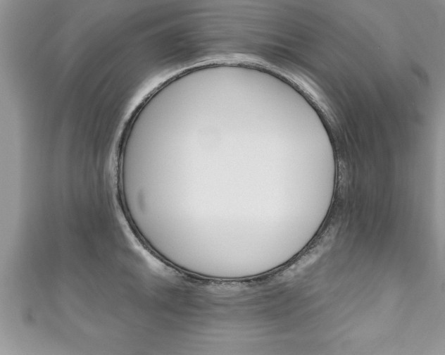 X0000111191046200907011005