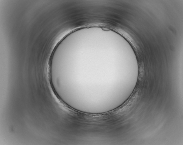 X0000111191047200907011005