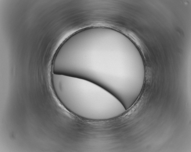 X0000111191048200907011005