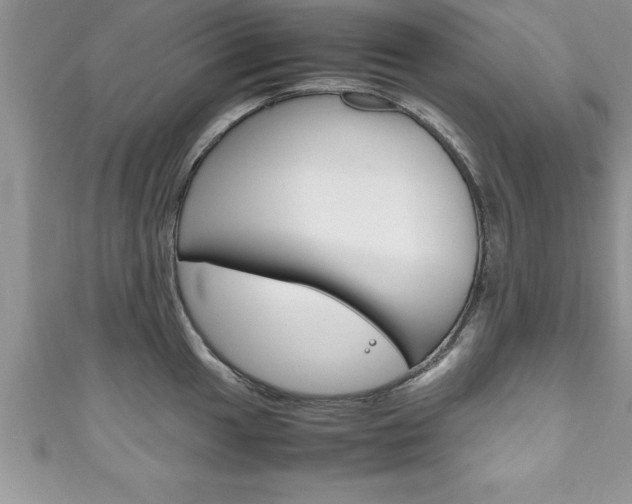 X0000111191049200907011005