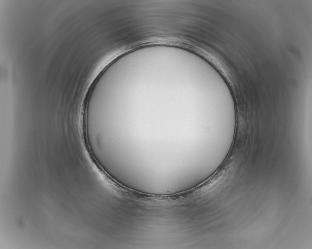 X0000111191050200907011005