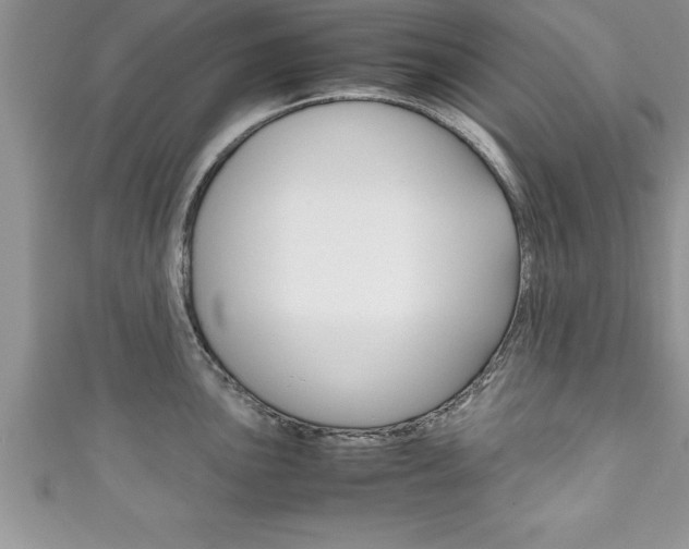 X0000111191051200907011005