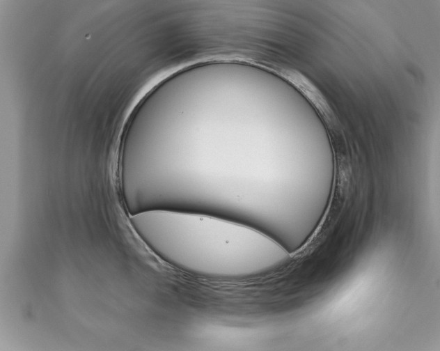 X0000111191052200907011005