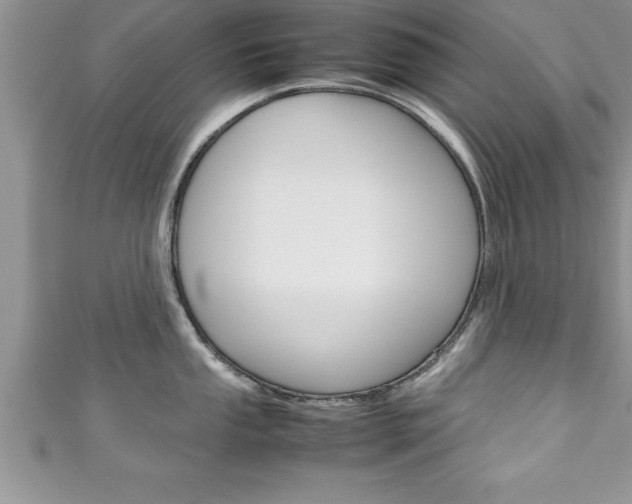 X0000111191053200907011005
