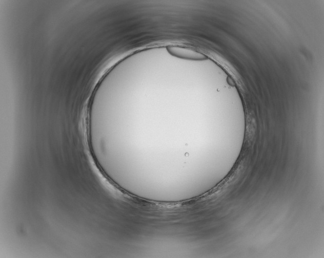 X0000111191055200907011005