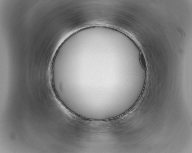 X0000111191056200907011005