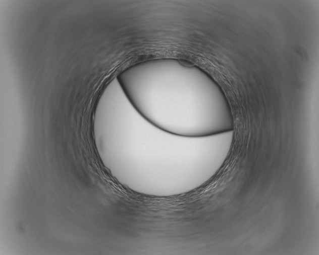 X0000111191057200907011004