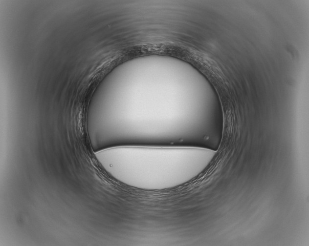 X0000111191060200907011004