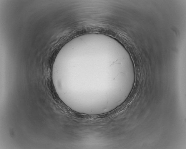 X0000111191061200907011004