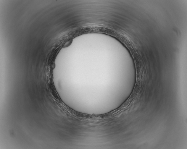 X0000111191062200907011004