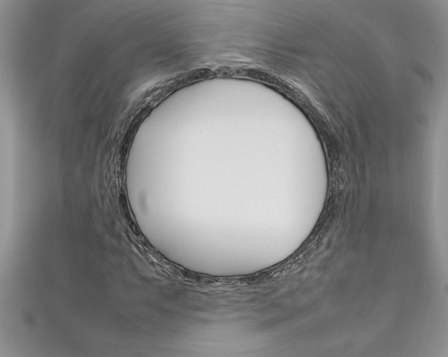 X0000111191063200907011004