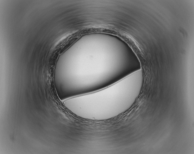 X0000111191064200907011004