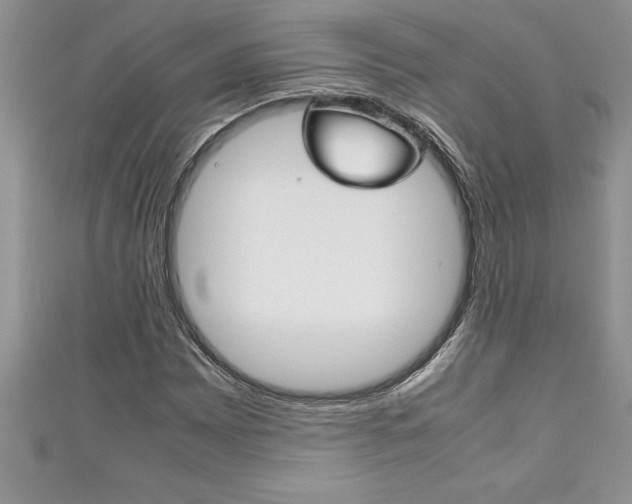 X0000111191065200907011004