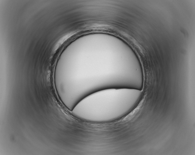 X0000111191066200907011004
