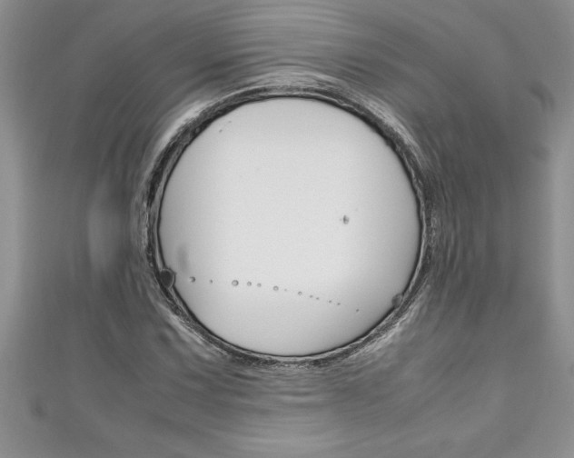X0000111191067200907011004
