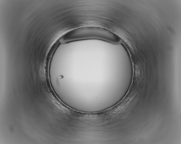 X0000111191068200907011004