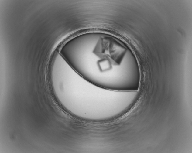 X0000111191069200907011004