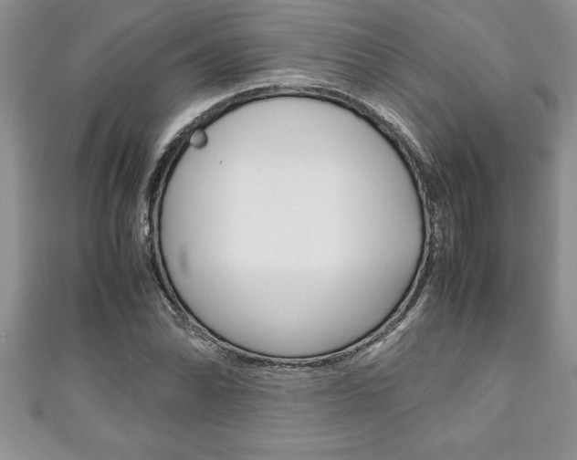 X0000111191070200907011004