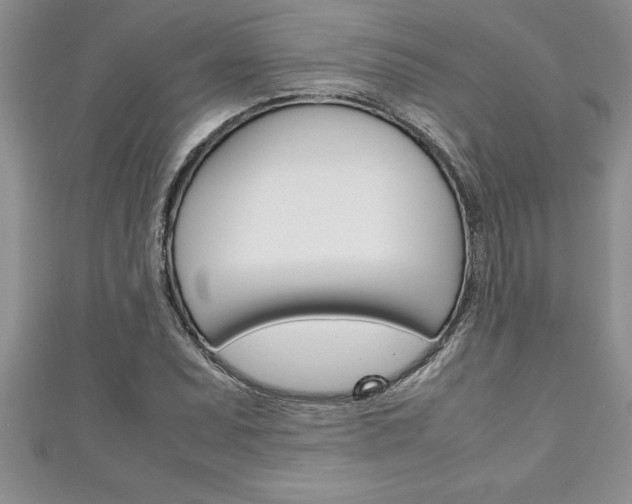 X0000111191071200907011004