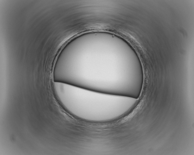 X0000111191073200907011004