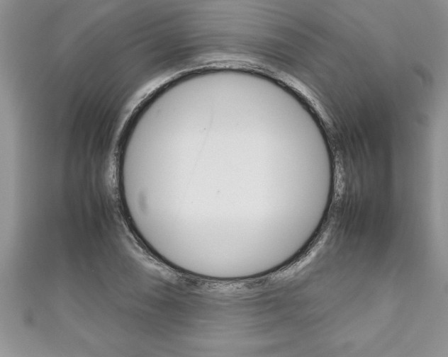 X0000111191074200907011004
