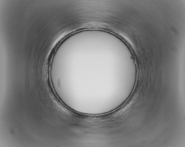 X0000111191075200907011004