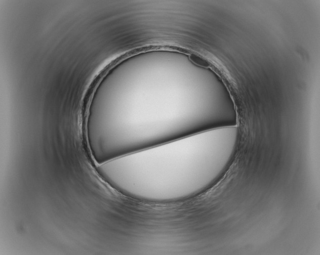 X0000111191076200907011004