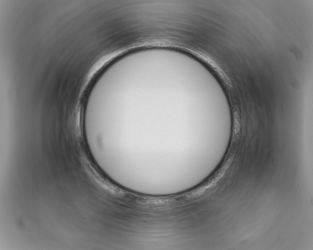 X0000111191078200907011004