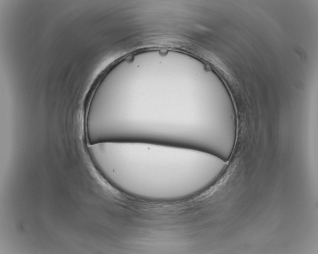 X0000111191079200907011004