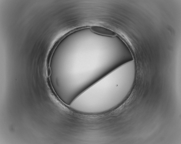X0000111191080200907011004