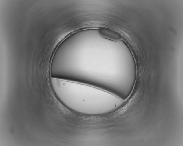 X0000111191081200907011004