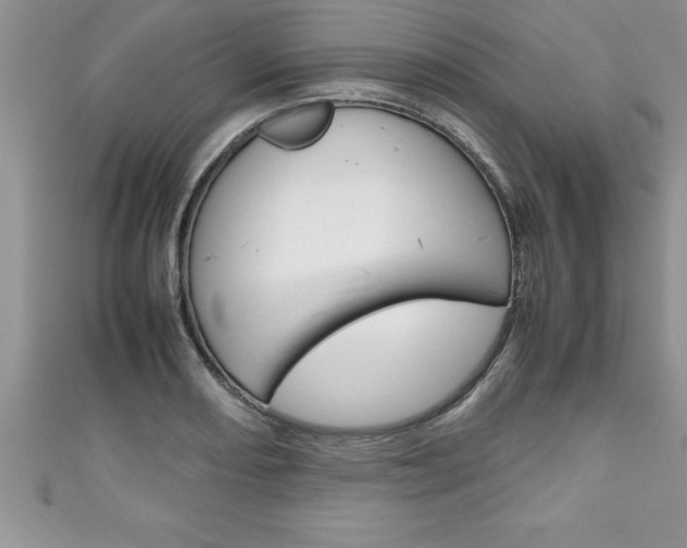 X0000111191082200907011004