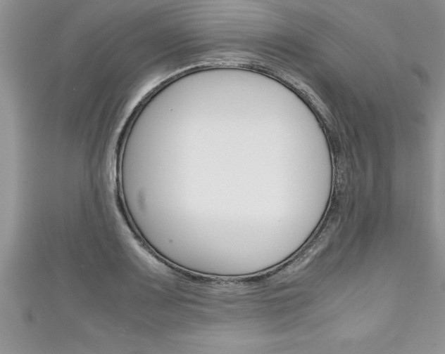 X0000111191083200907011004