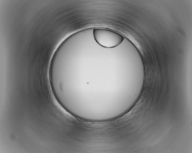 X0000111191084200907011004