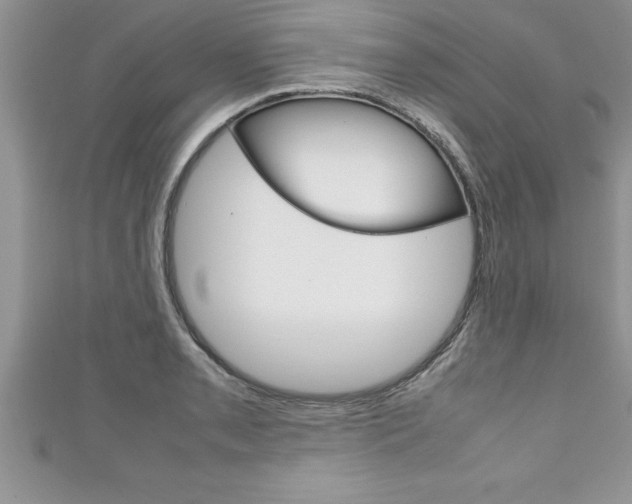 X0000111191085200907011004