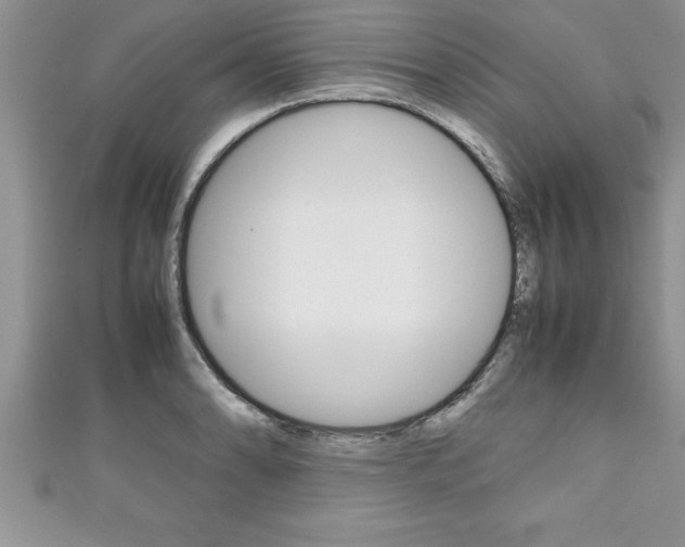 X0000111191086200907011004