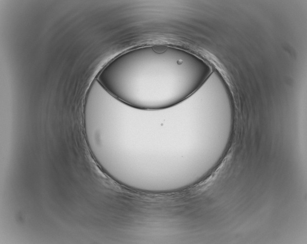 X0000111191089200907011004