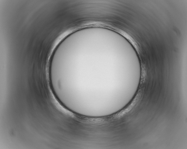 X0000111191090200907011004