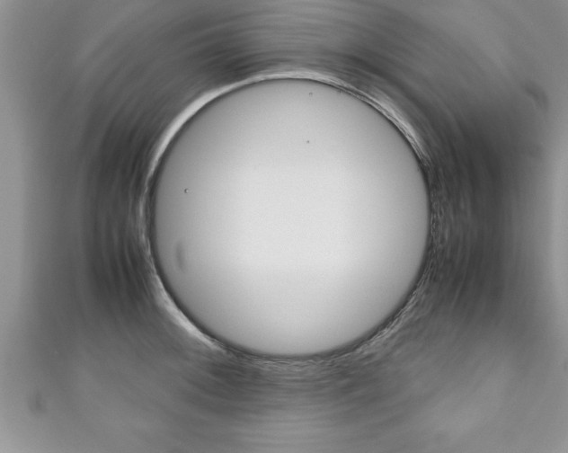 X0000111191092200907011004
