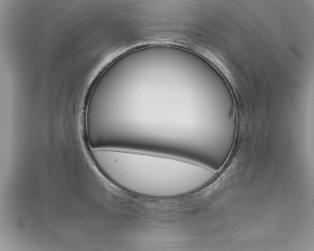 X0000111191093200907011004