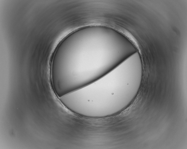 X0000111191096200907011004