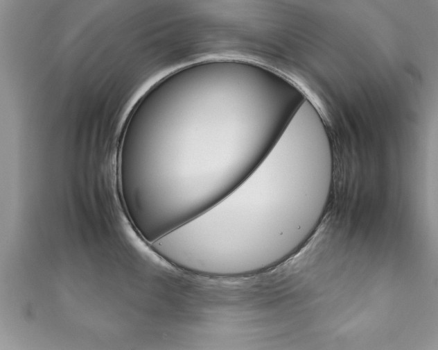 X0000111191100200907011004