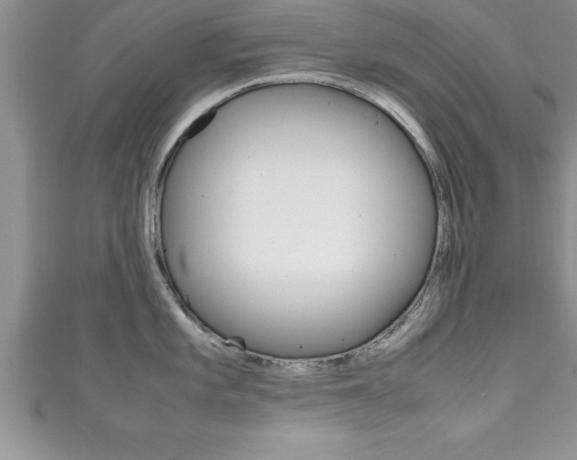 X0000111191101200907011004